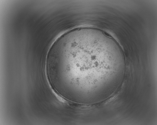 X0000062601245200601040905