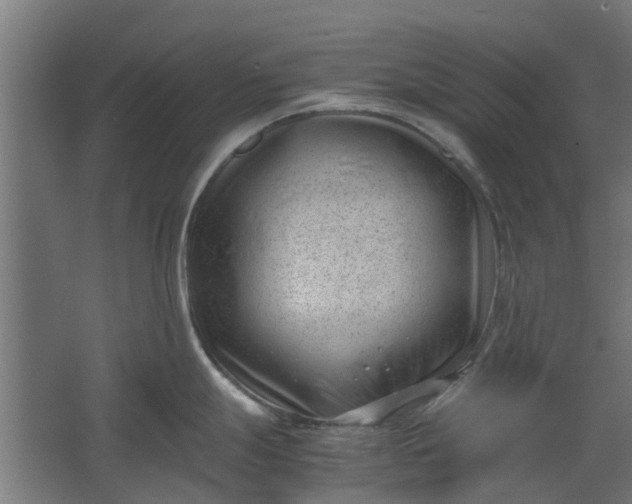 X0000062601247200601040905