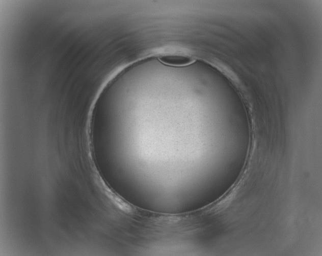 X0000062601248200601040905