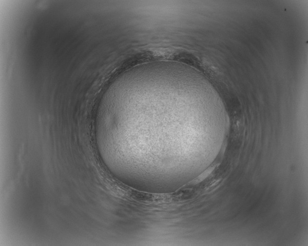 X0000062601249200601040904