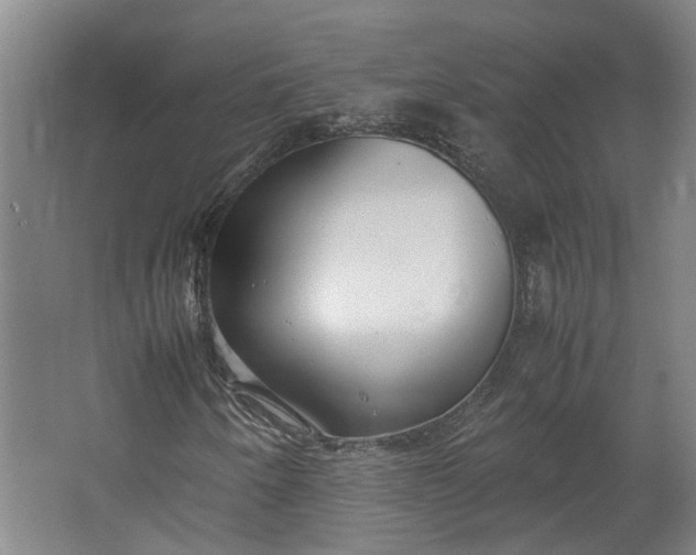 X0000062601250200601040904