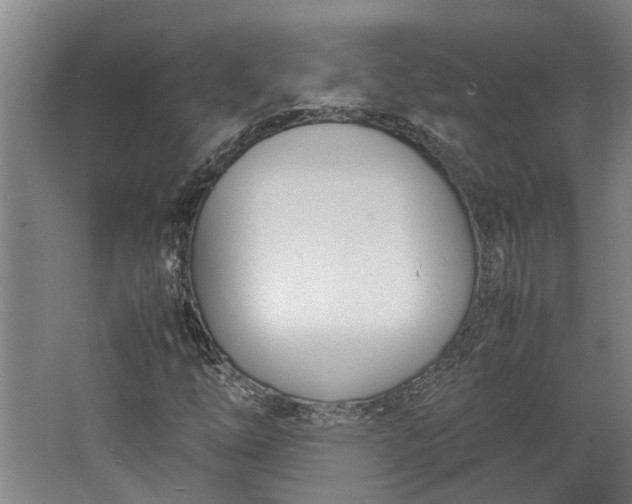 X0000062601254200601040904