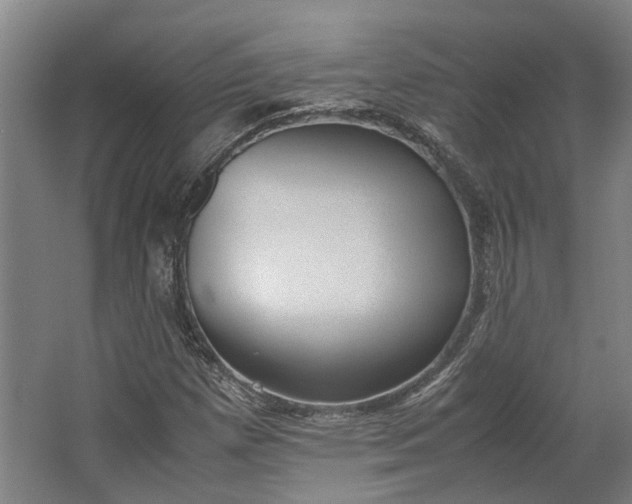 X0000062601257200601040904