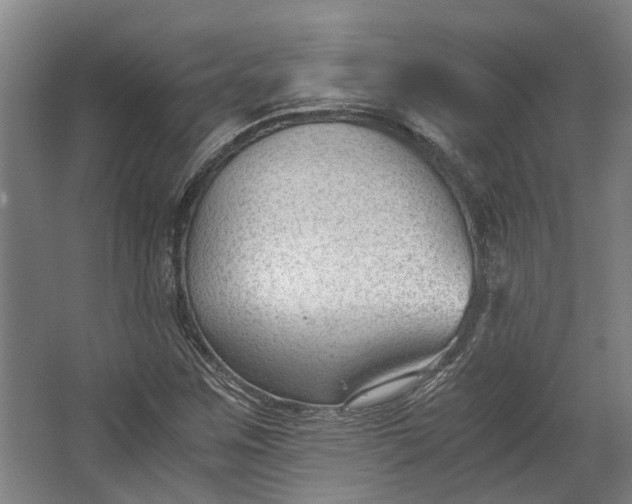 X0000062601259200601040904