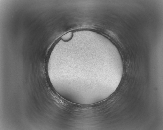 X0000062601260200601040904