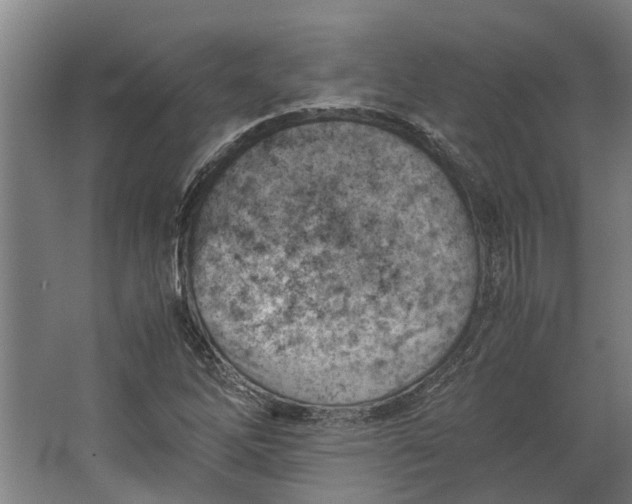 X0000062601262200601040904