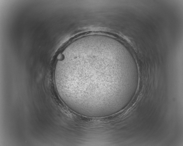 X0000062601263200601040904