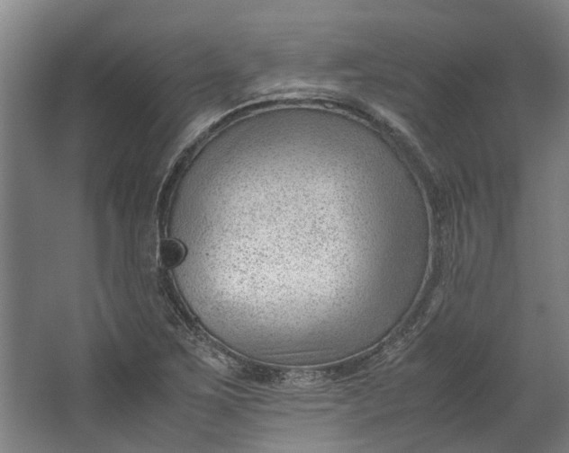 X0000062601267200601040904