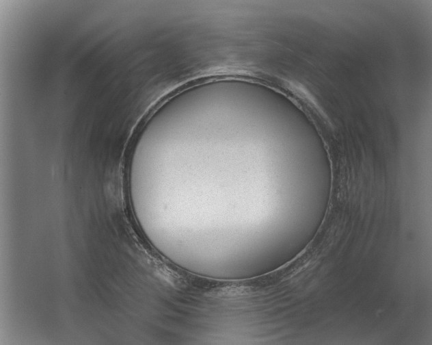 X0000062601268200601040904