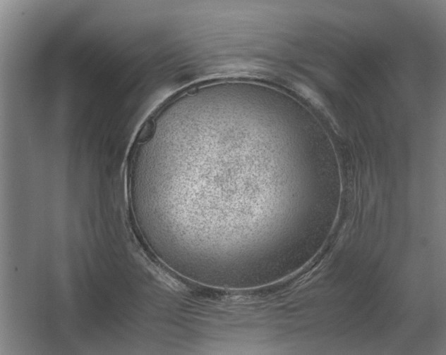 X0000062601275200601040904