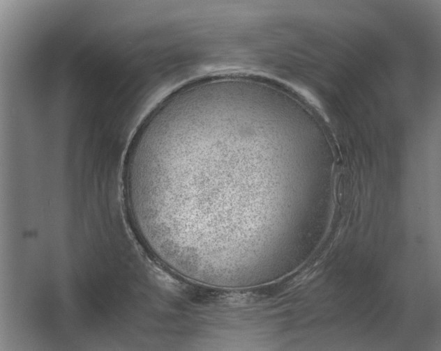 X0000062601279200601040904