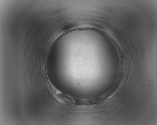 X0000062601281200601040904