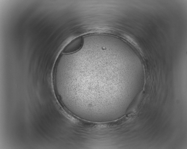 X0000062601283200601040904