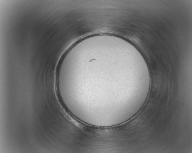 X0000062601286200601040904