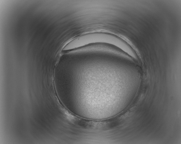 X0000062601289200601040904