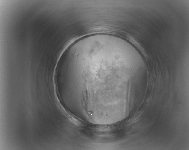 X0000062601291200601040904