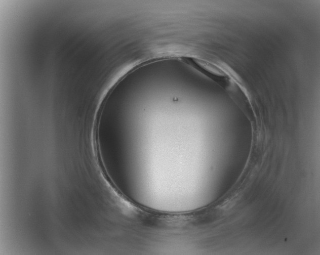 X0000062601293200601040904