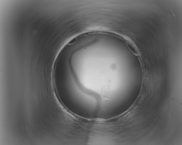 X0000062601295200601040904