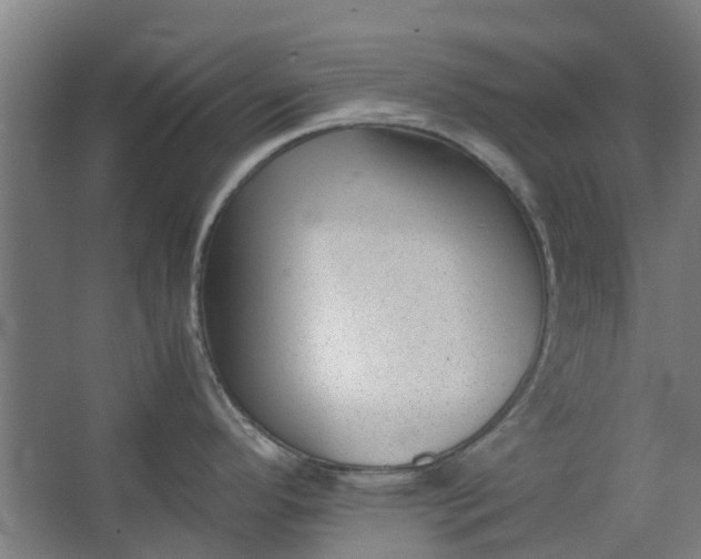 X0000062601296200601040904