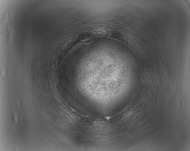 X0000062601297200601040903