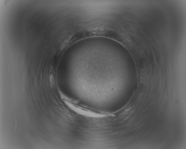 X0000062601298200601040903