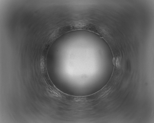 X0000062601299200601040903