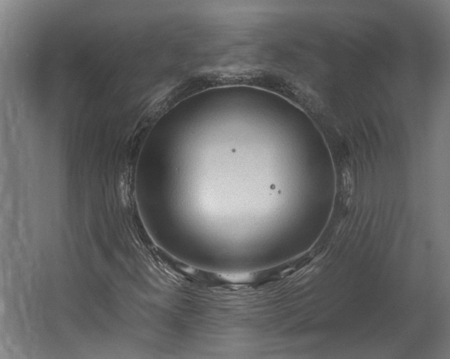 X0000062601300200601040903