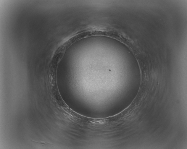 X0000062601303200601040903