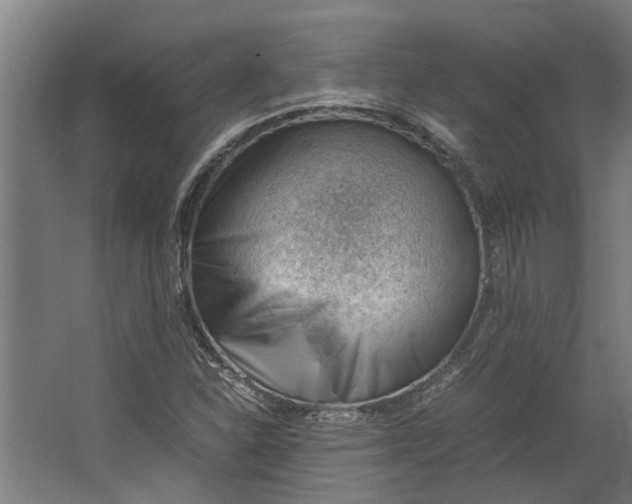 X0000062601310200601040903