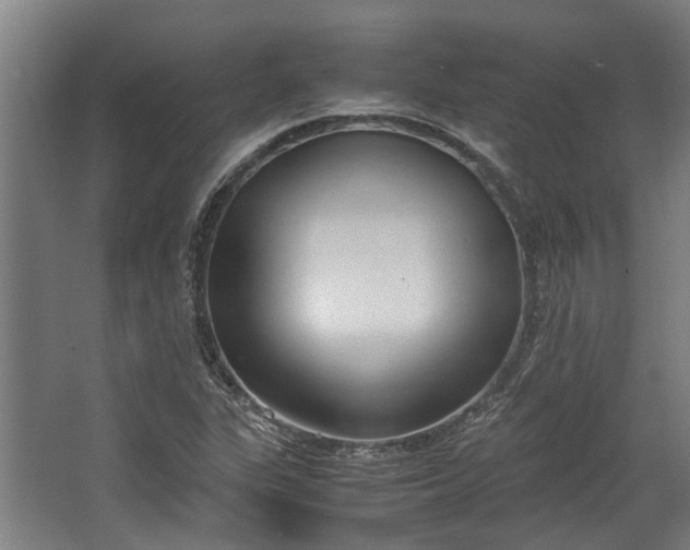 X0000062601311200601040903