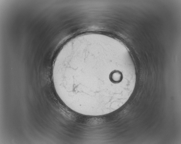 X0000062601314200601040903