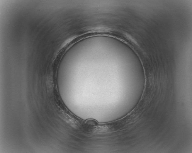 X0000062601315200601040903