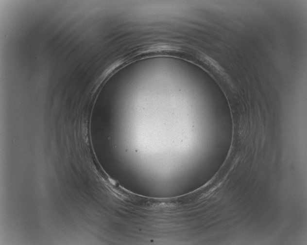 X0000062601321200601040903