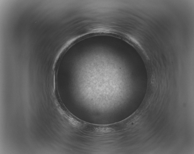 X0000062601323200601040903