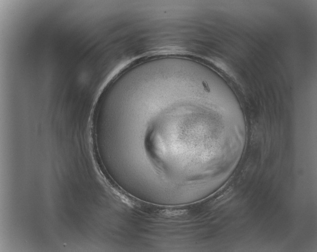 X0000062601325200601040903