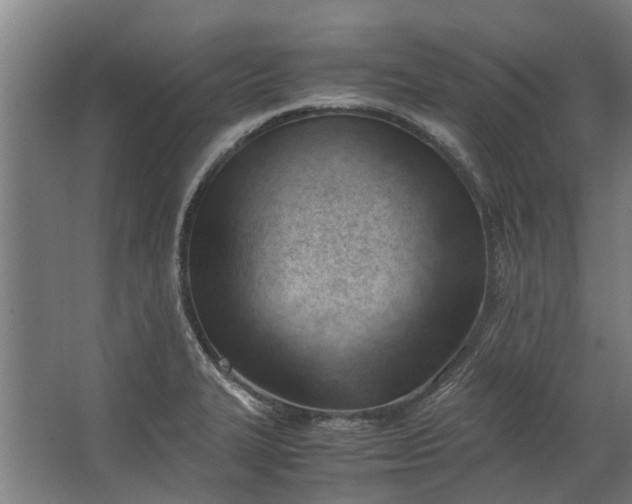 X0000062601327200601040903