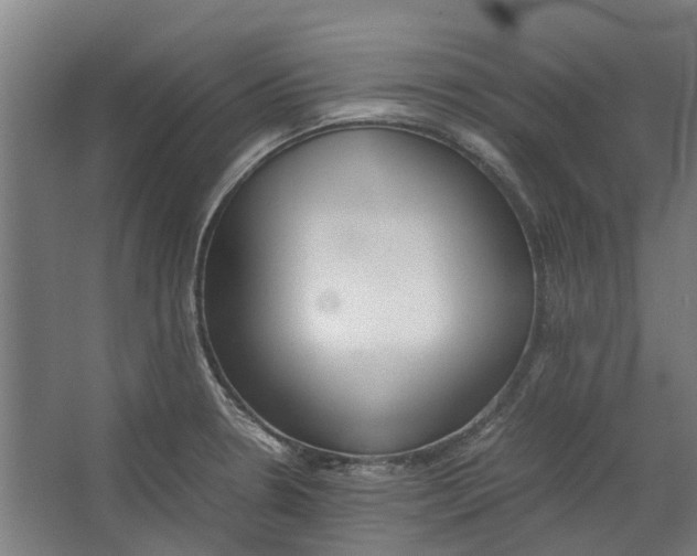 X0000062601330200601040903