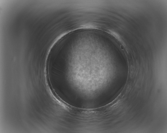 X0000062601331200601040903