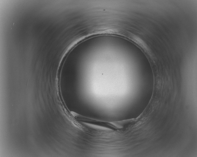 X0000062601332200601040903