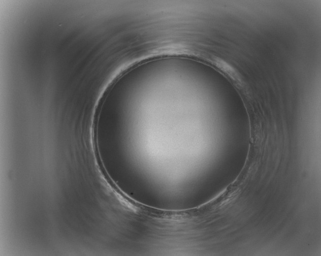 X0000062601334200601040903