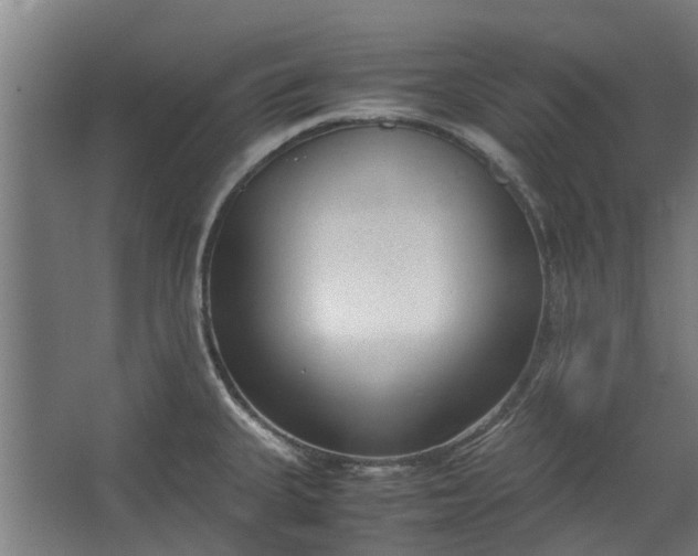 X0000062601335200601040903