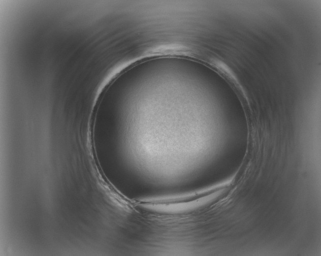 X0000062601336200601040903