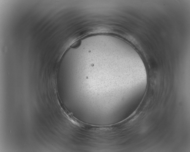 X0000062601337200601040903