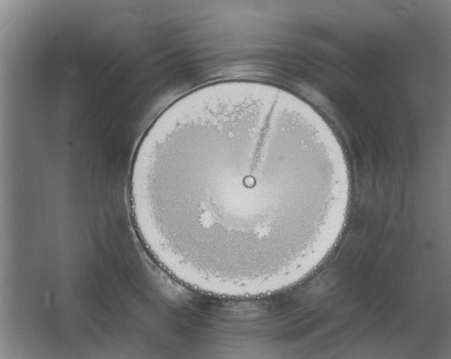 X0000062601338200601040903