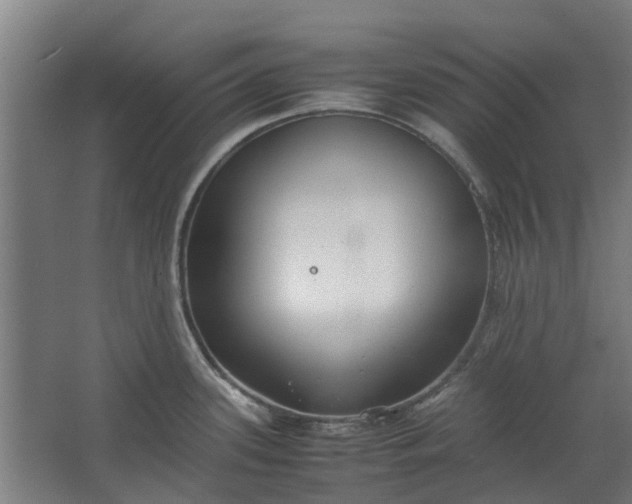 X0000062601339200601040903