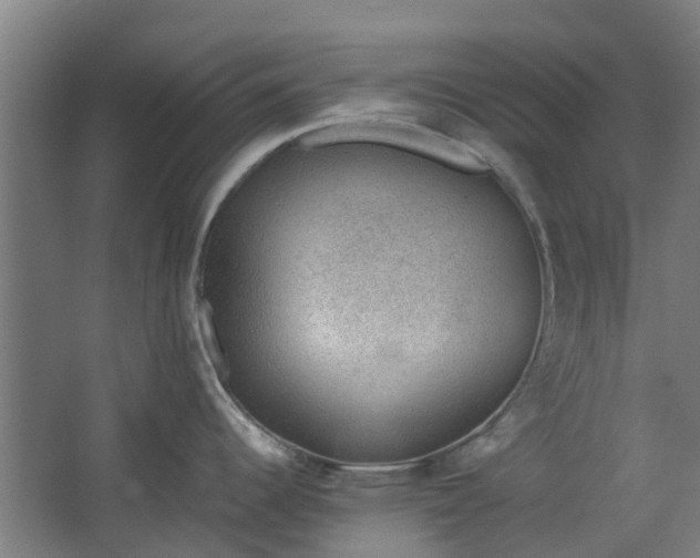 X0000062601344200601040904