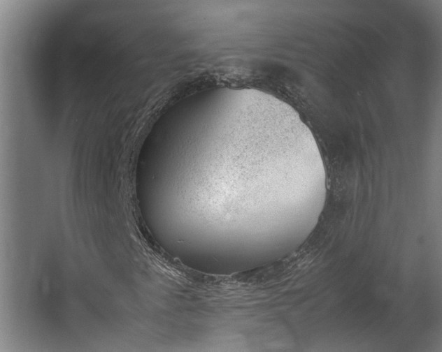 X0000062601345200601040903