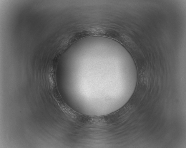 X0000062601346200601040903