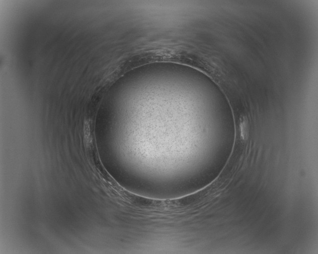 X0000062601347200601040903