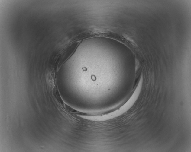 X0000062601348200601040903